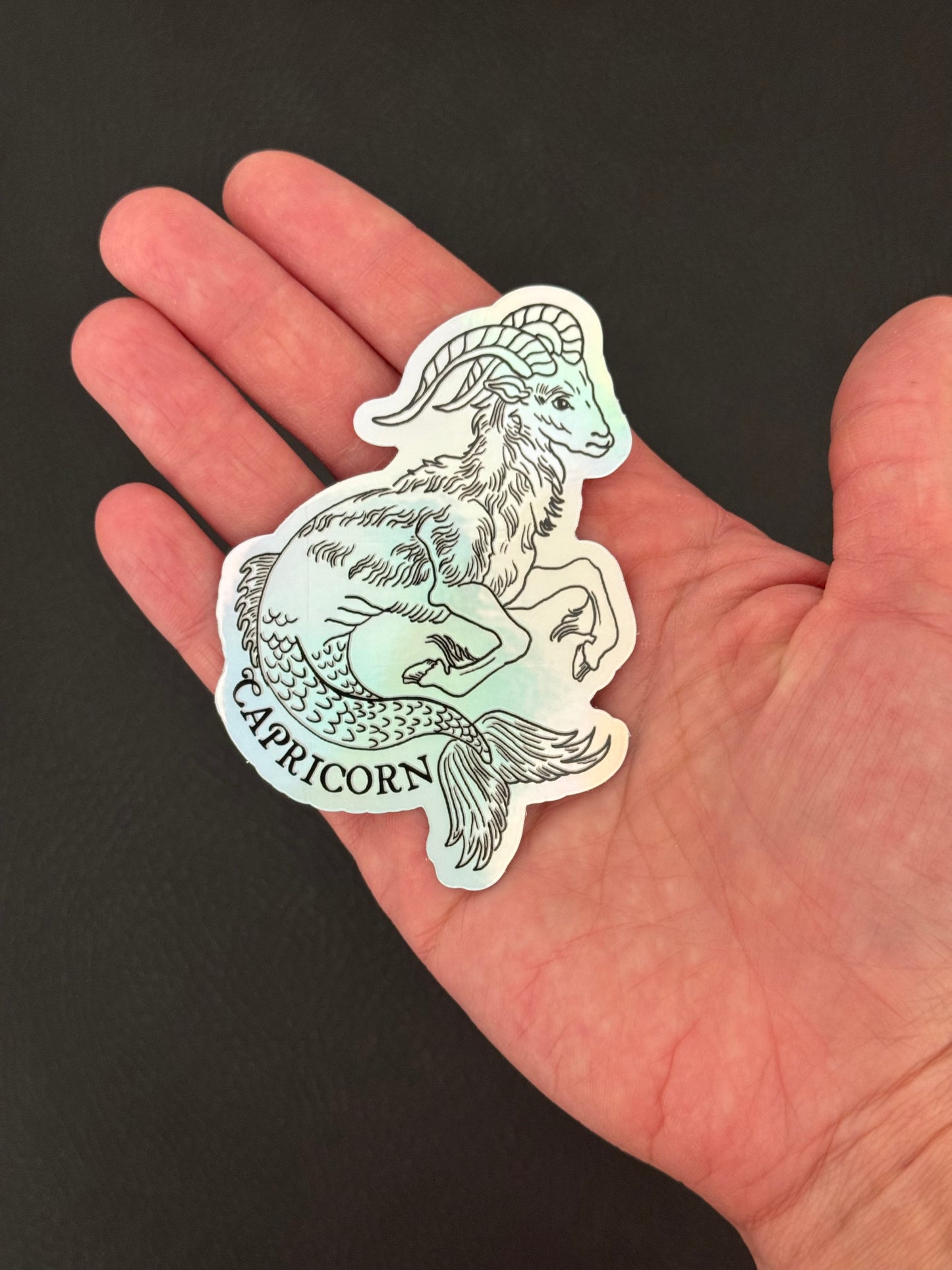 Zodiac Capricorn Sticker