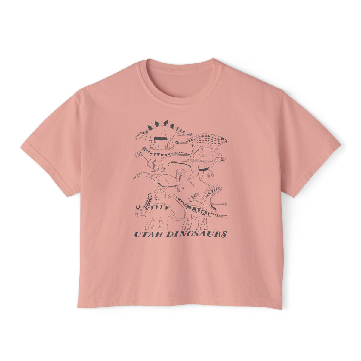 Utah Dinosaurs Adult  Boxy Tee