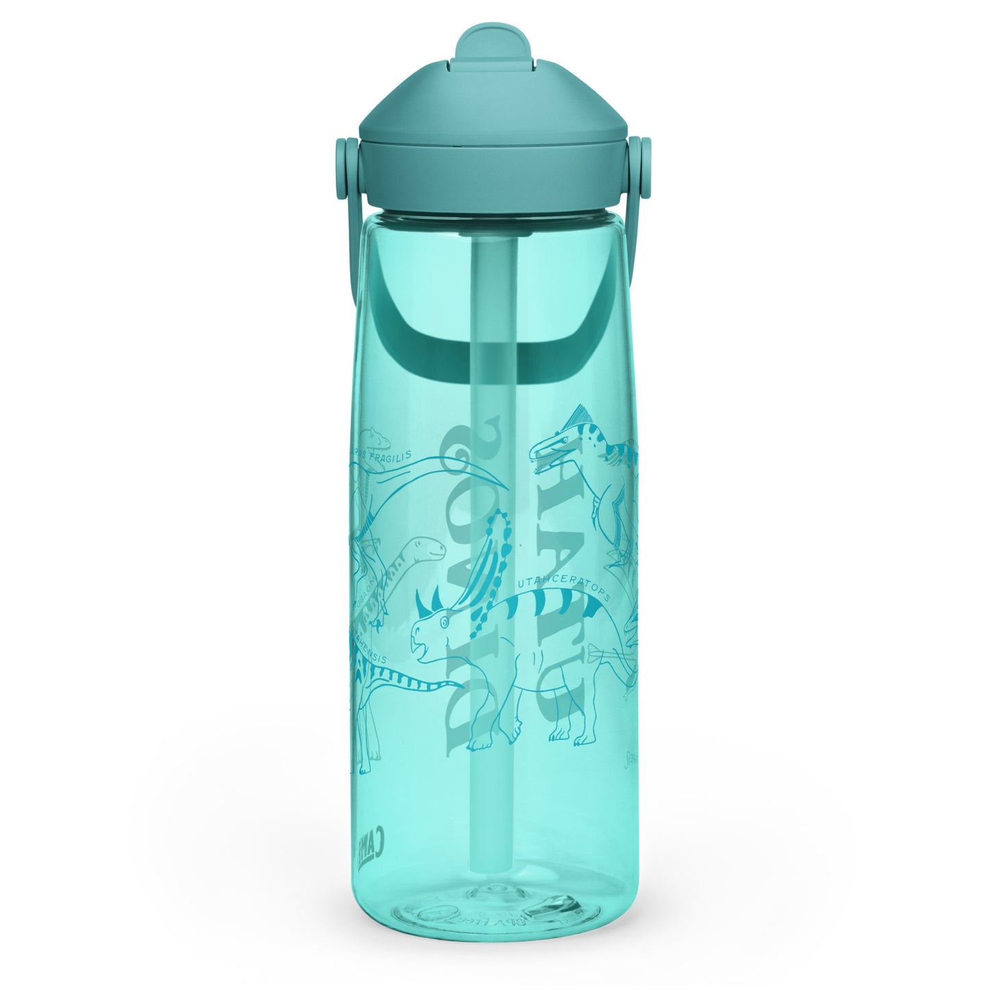 Utah Dinosaurs Camelbak Thrive Water Bottle