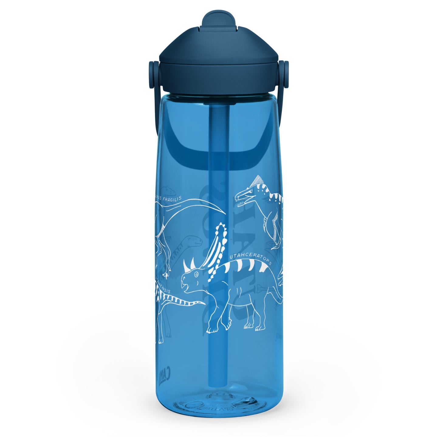 Utah Dinosaurs Camelbak Thrive Water Bottle