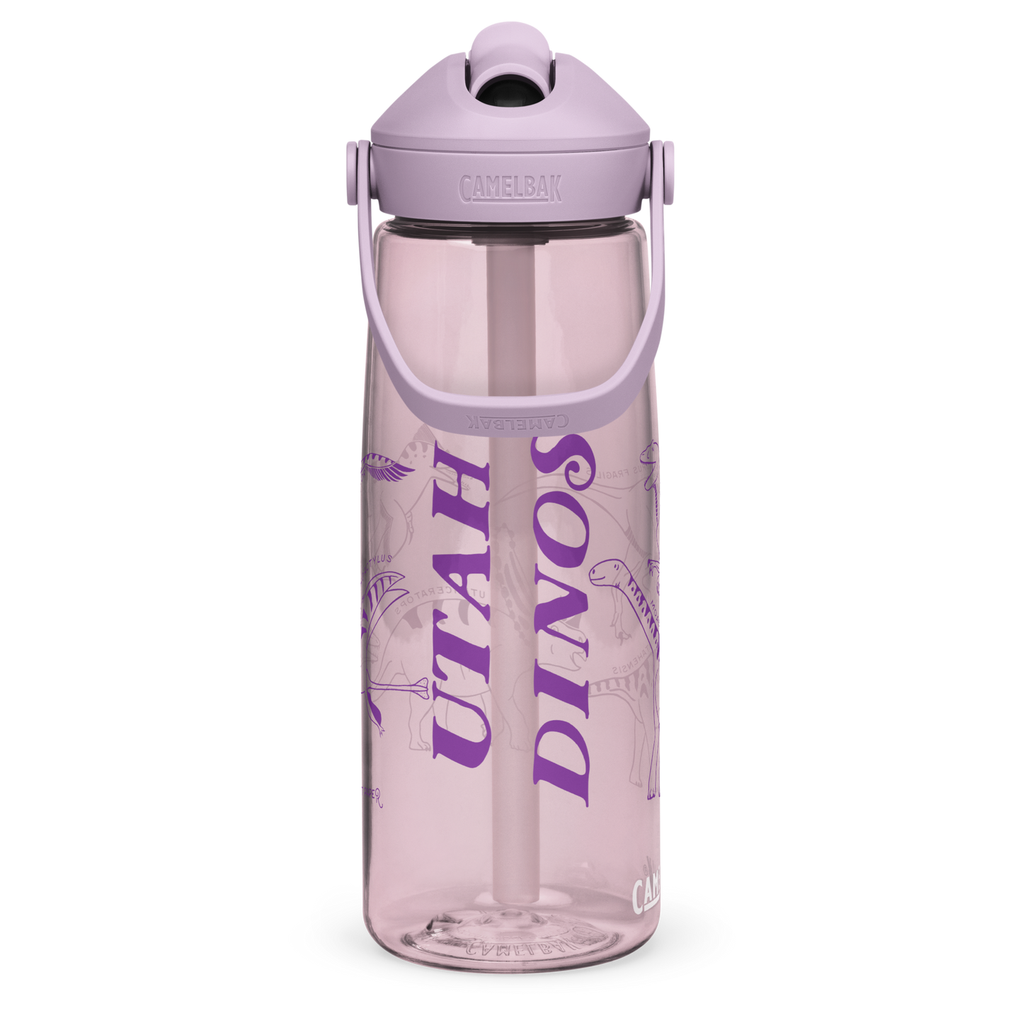 Utah Dinosaurs Camelbak Thrive Water Bottle