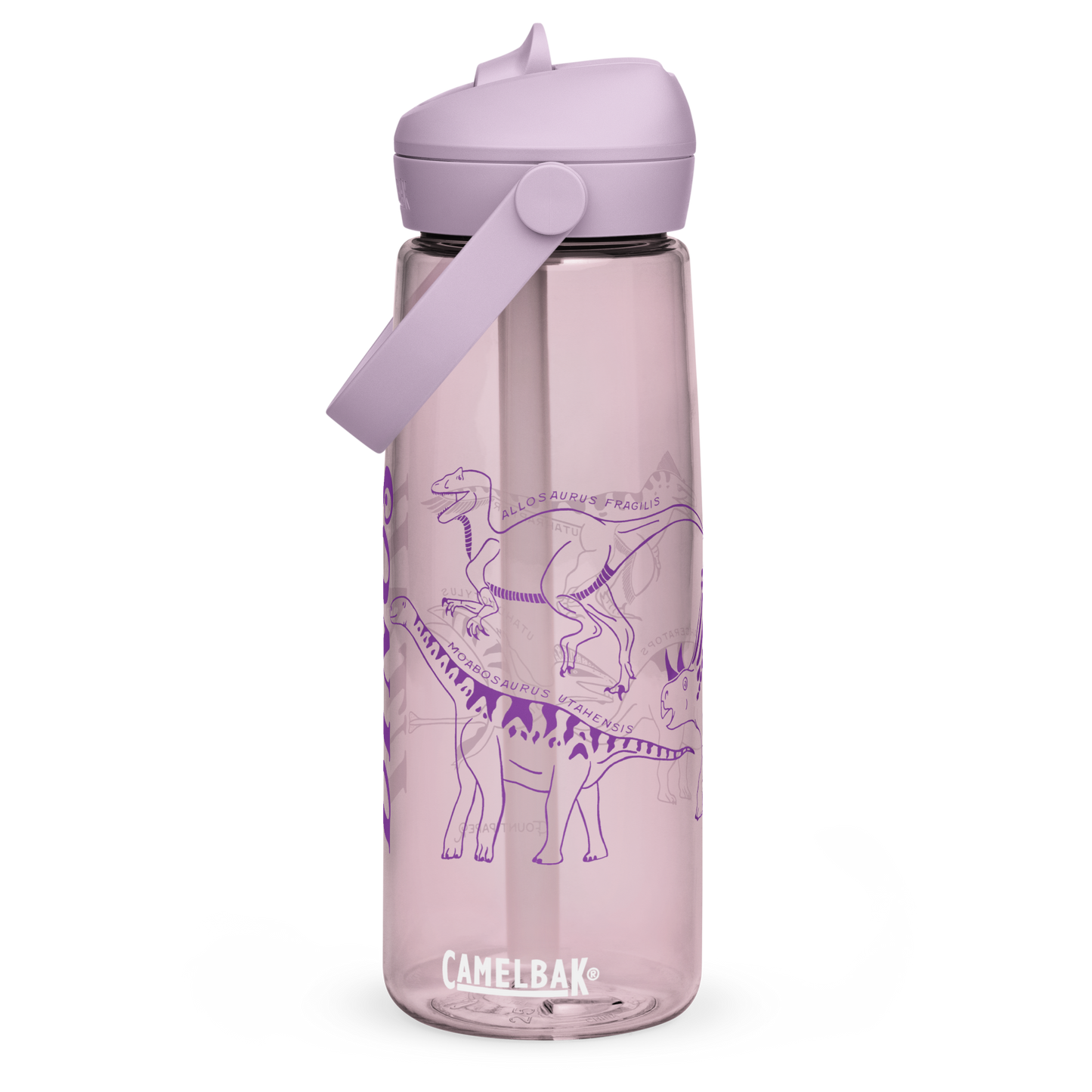 Utah Dinosaurs Camelbak Thrive Water Bottle