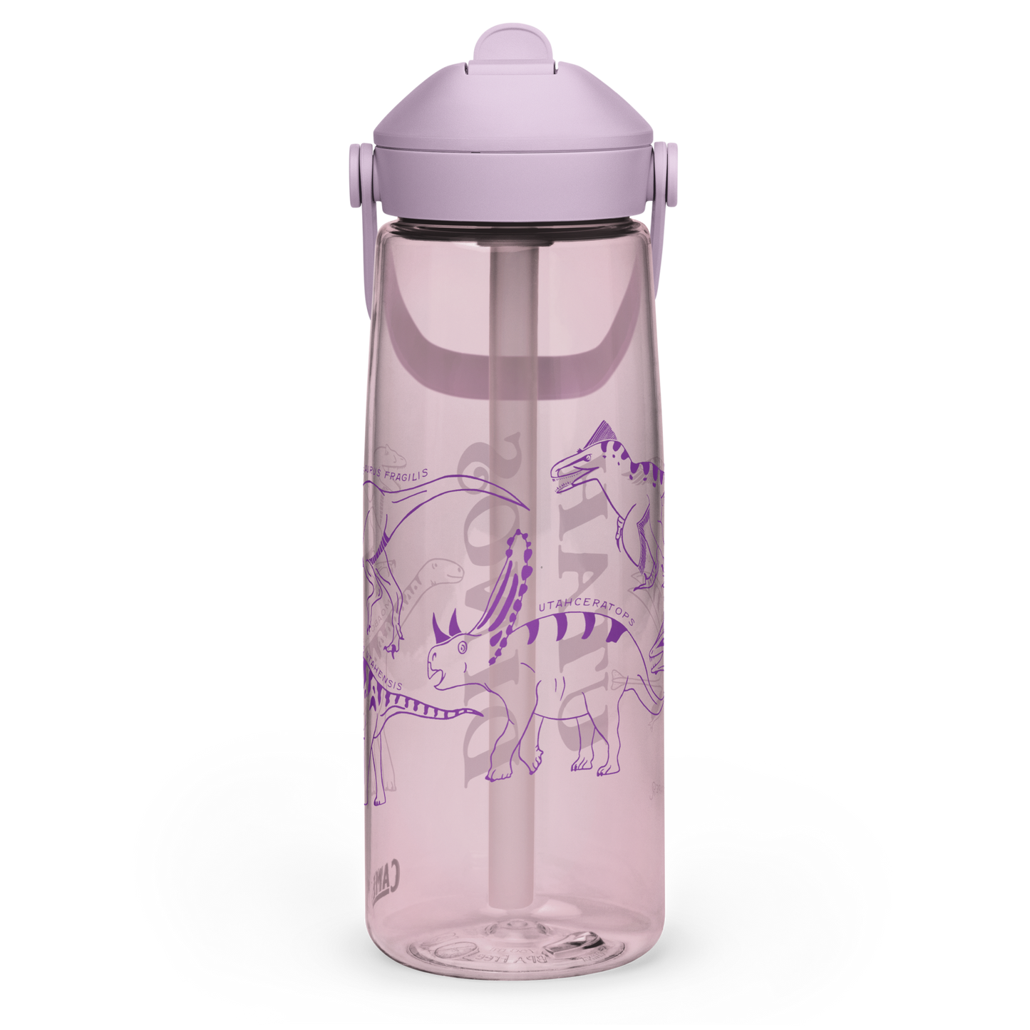 Utah Dinosaurs Camelbak Thrive Water Bottle