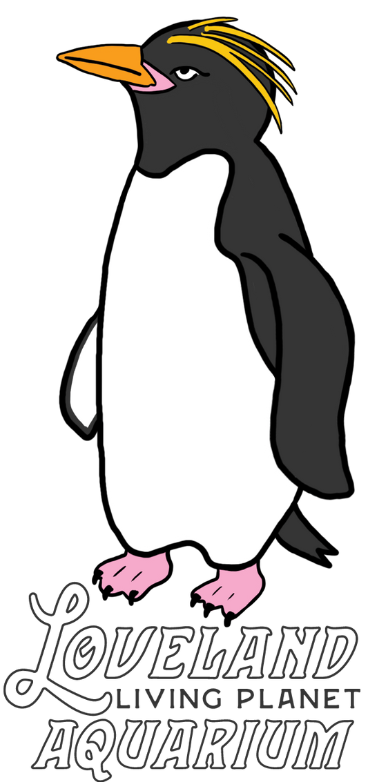Loveland Living Planet Aquarium Penguin Sticker
