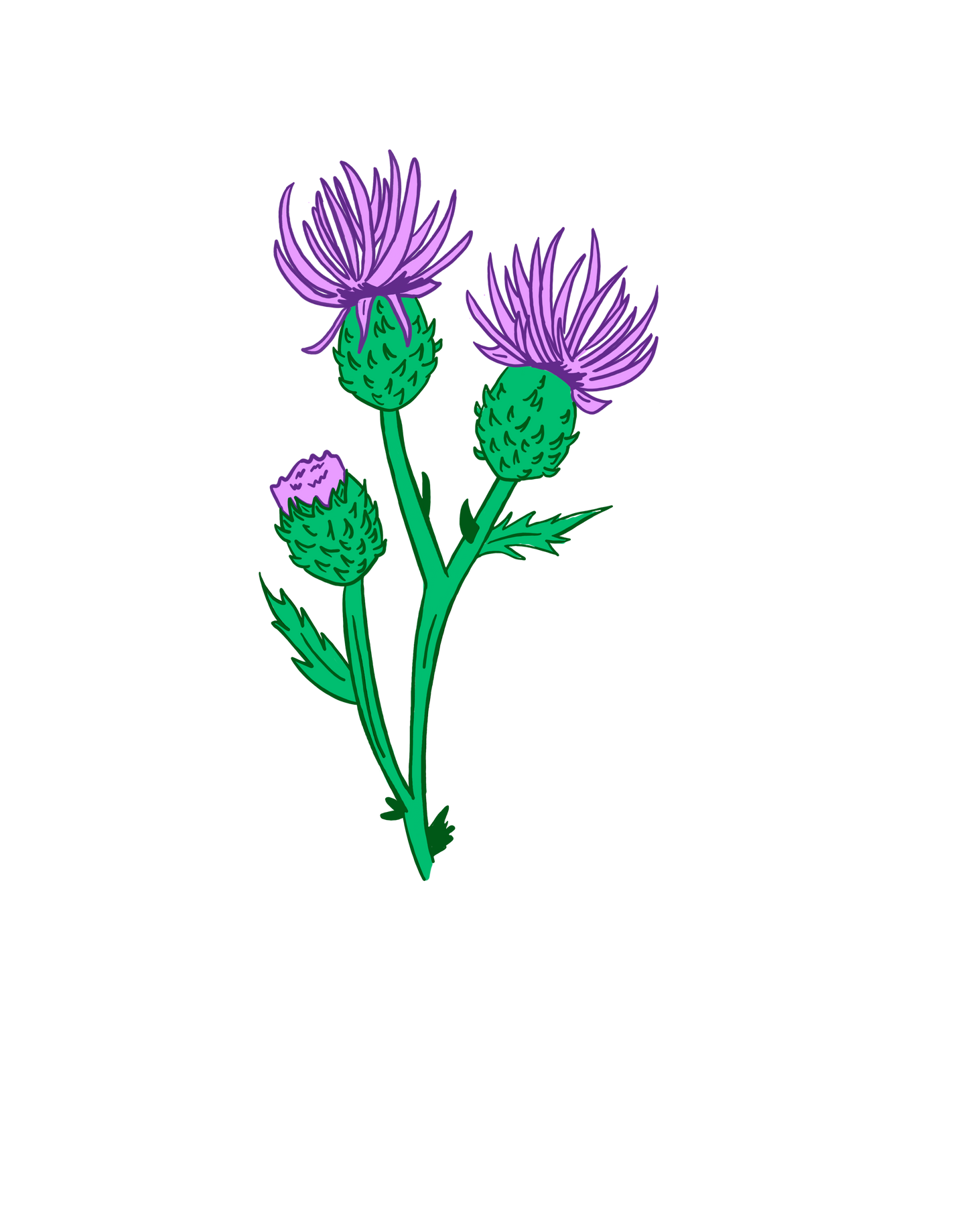 Thistle Sticker