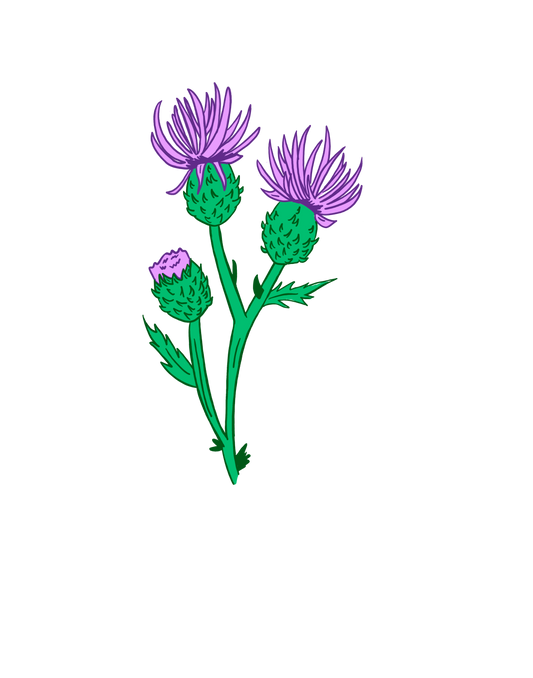 Thistle Sticker